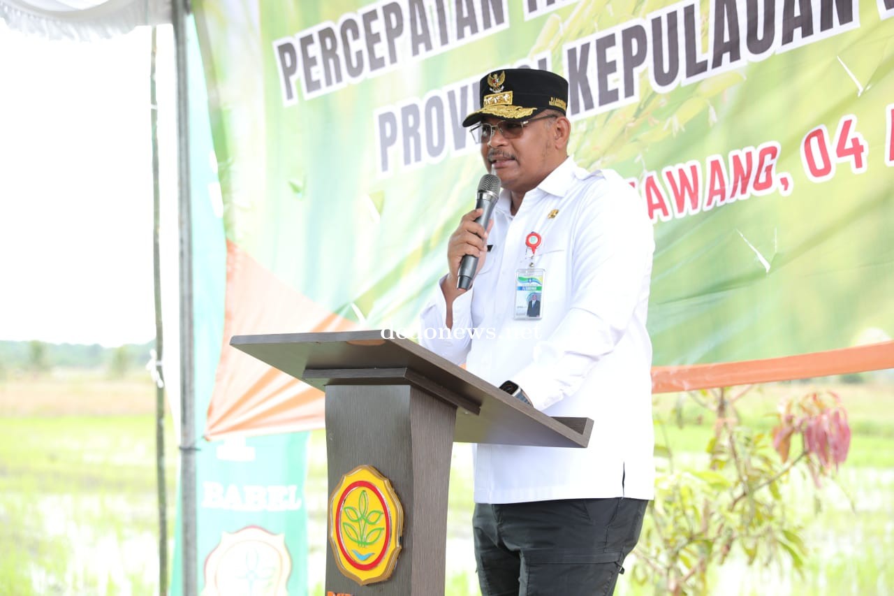 Dirjen Bina Adwil Kemendagri Dorong Diversifikasi Ekonomi Bangka Belitung dalam Musrenbang RKPD 2025